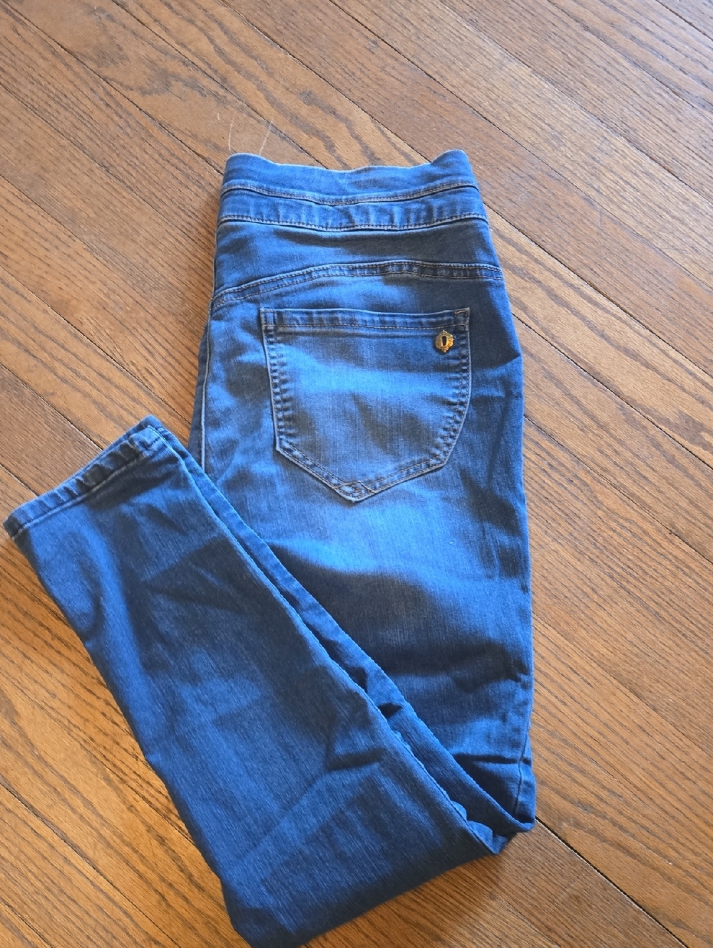 Democracy Blue Stretch Jeggings with Clean Back Pocket